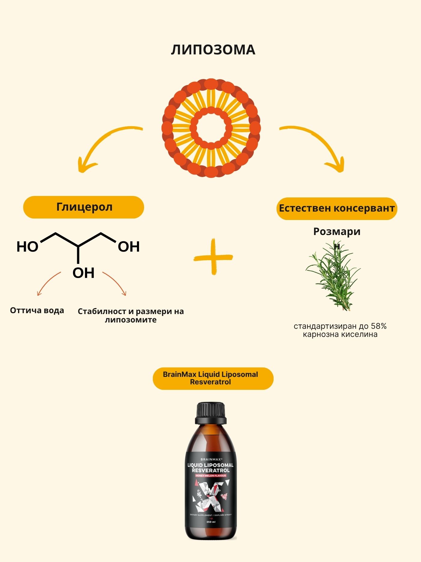 (Bulharština) Resveratrol (1)